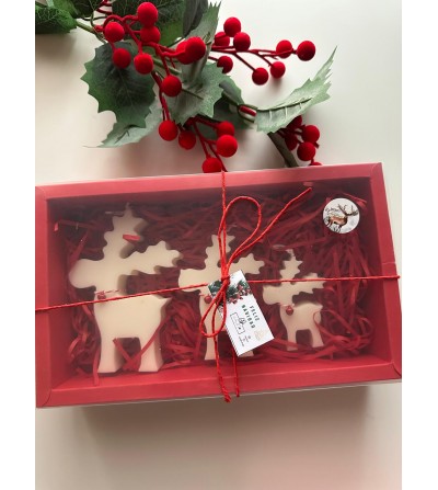 Caja Velas Rudolph
